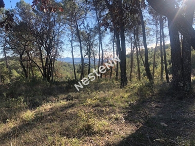 Terrain SAINT ANTONIN DU VAR 977 m2