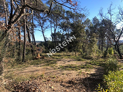 Terrain SAINT ANTONIN DU VAR 1052 m2