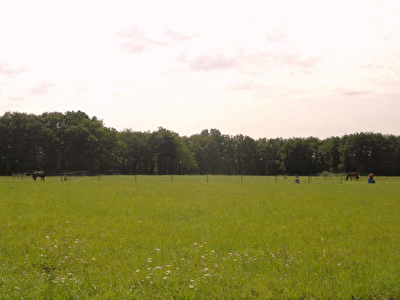 TERRAIN DE LOISIRS LA BOISSIERE ECOLE - 24931 m2