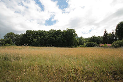 Terrain secteur EPERNON