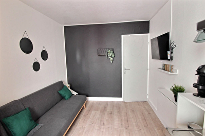 Appartement T1 meuble 16m2 centre Blagnac 460 euros cc