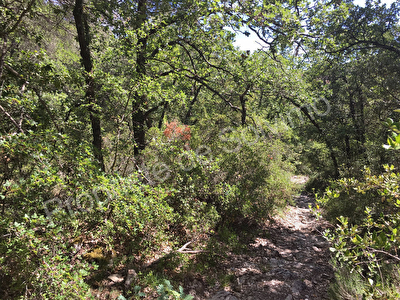 Domaine agricole Mimet