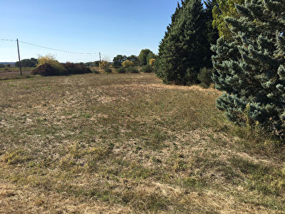 Terrain agricole 1ha avec Maisonnette T2 40m2
