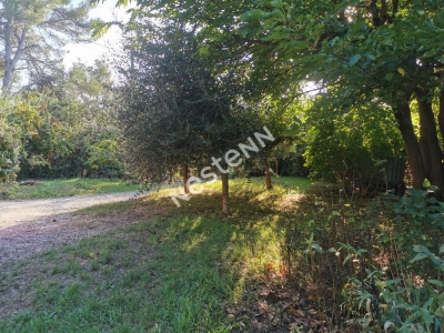 Terrain Bouc Bel Air de 450 m2 env., libre constructeur