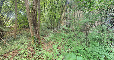 Terrain de 3935 m2 a vendre aThiaucourt Regneville.