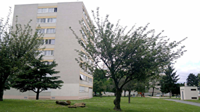 APPARTEMENT RIS ORANGIS - 3 pieces - 57,11 m2
