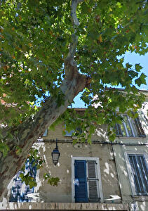 Appartement La Seyne Sur Mer 3 pieces 53 m2