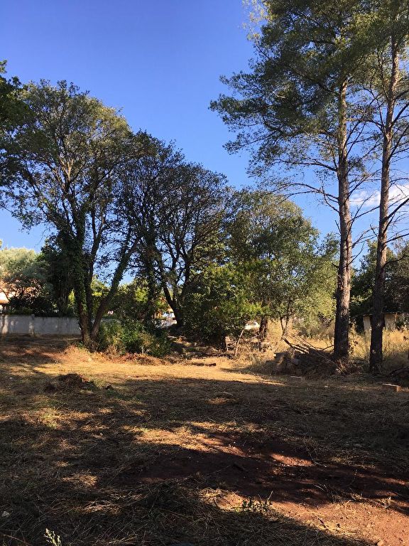 photos n°1 La Valette Du Var Terrain libre constructeur de 871 m2