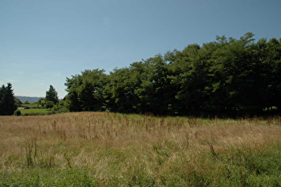 TERRAIN A BATIR DOMESSIN - 4000 m2