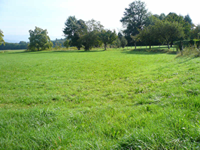 TERRAIN A BATIR ST GENIX SUR GUIERS - 810 m2