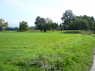 TERRAIN A BATIR ST GENIX SUR GUIERS - 810 m2