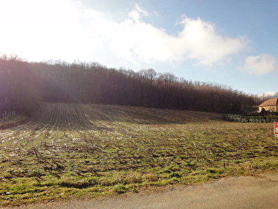 TERRAIN CONSTRUCTIBLE LE PONT DE BEAUVOISIN - 1772,50 m2