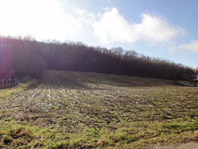 TERRAIN CONSTRUCTIBLE LE PONT DE BEAUVOISIN - 1772,50 m2