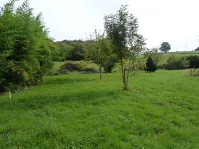 Terrain a batir Pont De Beauvoisin 1010 m2