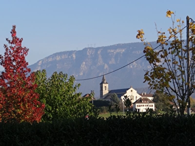 TERRAIN A BATIR DOMESSIN