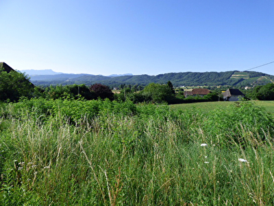 Terrain Pont de Beauvoisin