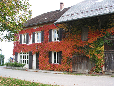 Un havre de paix