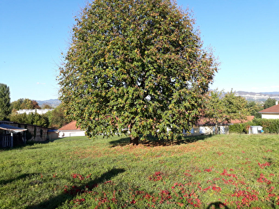 Pont de Beauvoisin centre