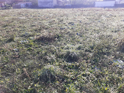 Belle parcelle a construire sur 825 m2