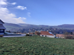 38620 SAINT GEOIRE EN VALDAINE - Terrain 1