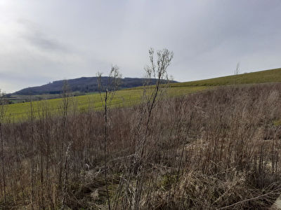 Terrain viabilise sur LE PIN de 922 m2