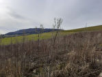 38730 LE PIN - Terrain 1