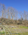 73330 LE PONT DE BEAUVOISIN - Terrain 2