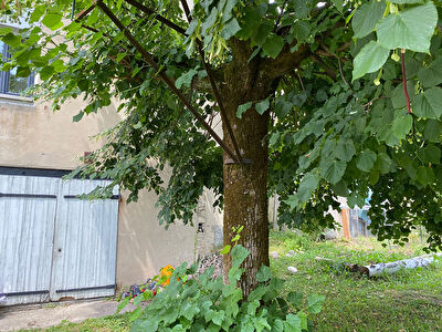 Maison de village mitoyenne