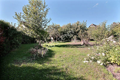 Terrain Lingolsheim 729 m2