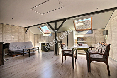 Appartement Illkirch Graffenstaden 1 piece CENTRE