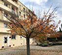 26250 LIVRON SUR DROME - Appartement