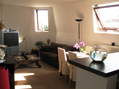 APPARTEMENT T3 LILLE - 3 pieces - 55 m2