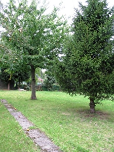Terrain Lomme 650 m2 + garage