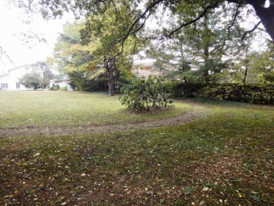 Terrain