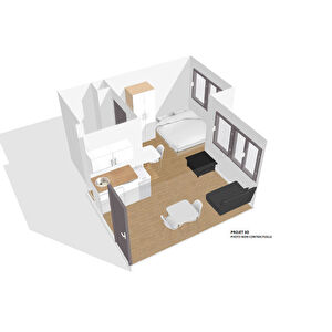 Appartement plateau Lyon 1 piece 20 m2