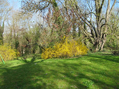 TERRAIN A BATIR PRINGY - 1347 m2