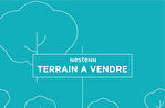 77310 SAINT FARGEAU PONTHIERRY - Terrain 1