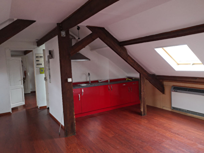 APPARTEMENT TYPE 2 secteur sciences po