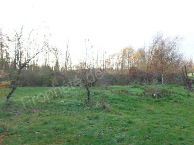 TERRAIN A BATIR, MONTMACQ 60150
