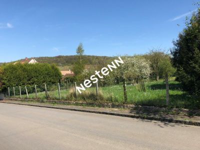 TERRAIN A BATIR 584 M2 Cambronne-Les-Ribecourt (60170)