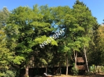 60200 COMPIEGNE - Maison 2