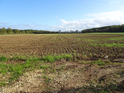 10 min Rochefort : Terrain Cabariot hors lotissement de 1 169 m2