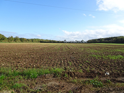 Exclusivite a 10 min Rochefort : Terrain Cabariot hors lotissement belle surface de 894 m2