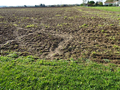 CABARIOT - TERRAIN A BATIR DE 939M2