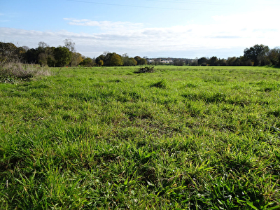 EXCLUSIVITE : DIX MINUTES DE ROCHEFORT : CABARIOT - TERRAIN A CONSTRUIRE DE 776 M2