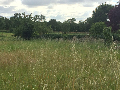 Exclusivite : Entre Tonnay Charente et Cabariot : Terrain constructible 850 m2
