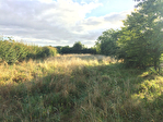 17430 TONNAY CHARENTE - Terrain 3
