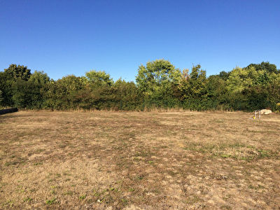 10 MIN ROCHEFORT : ST HIPPOLYTE : Beau terrain a batir de 1050m2 hors lotissement