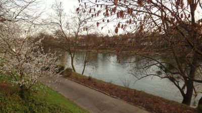 Appartement Champigny-sur-marne 4 pieces 67 m2