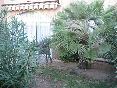 Appartement rez-de-jardin LA LONDE LES MAURES - 2 pieces - 30 m2